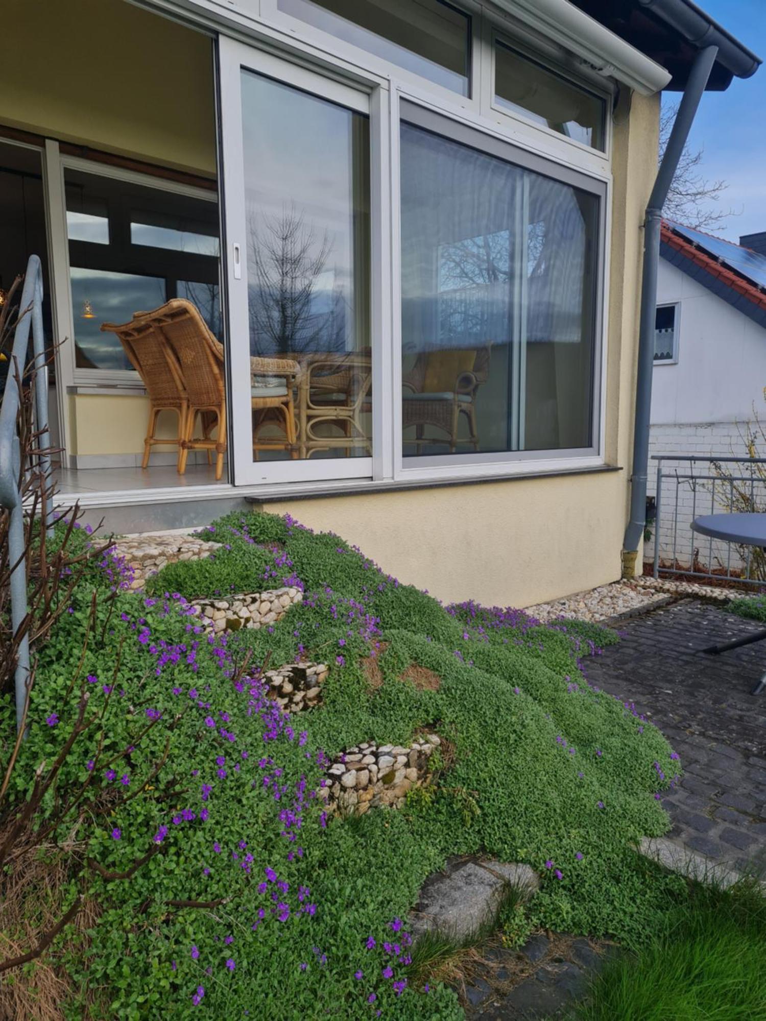 Ferienwohnung Im Rurtal Kreuzau Экстерьер фото