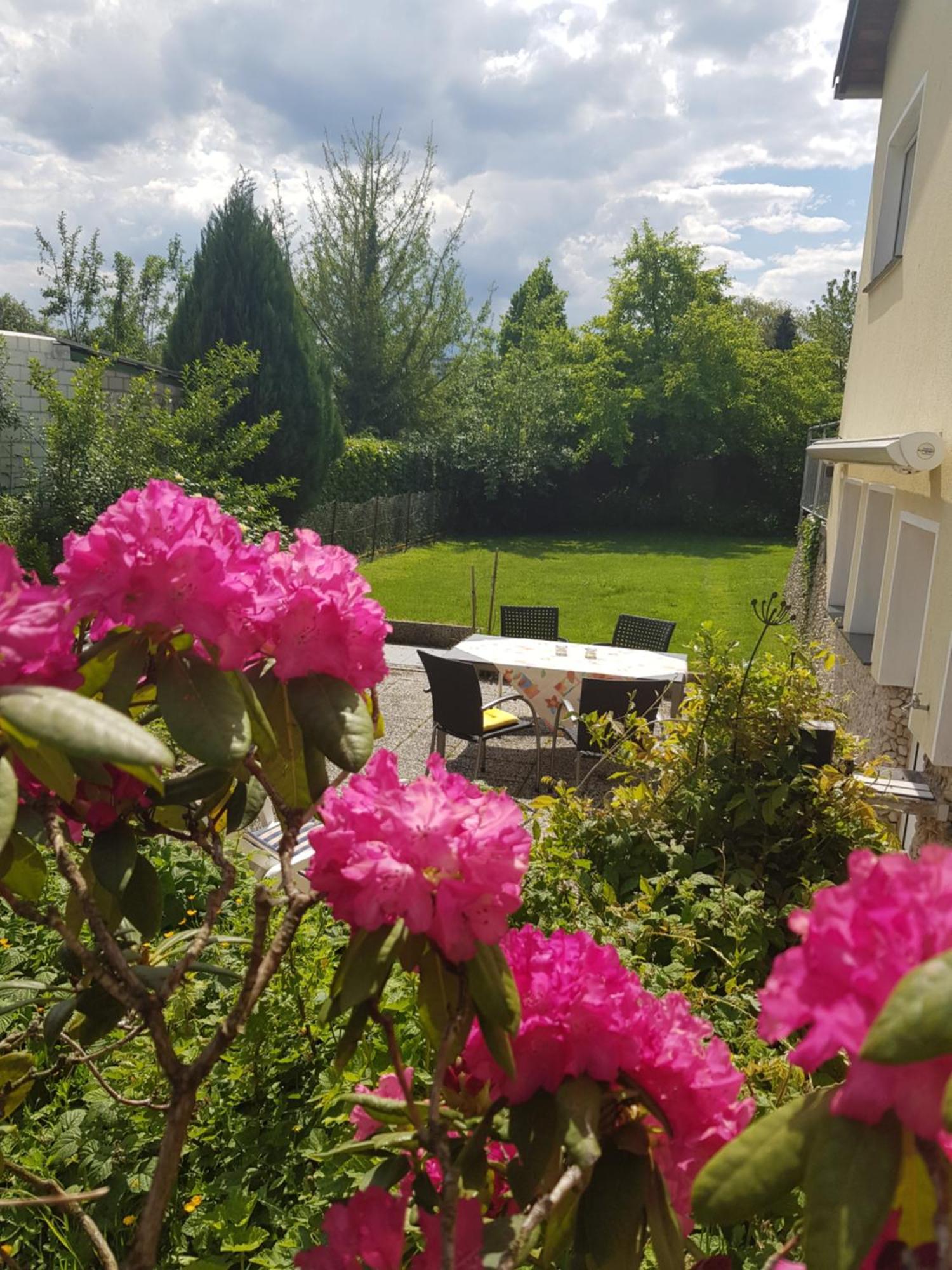 Ferienwohnung Im Rurtal Kreuzau Экстерьер фото
